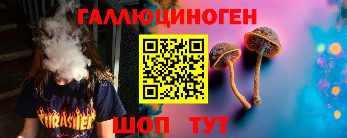 Псилоцибиновые грибы Psilocybine cubensis Рославль